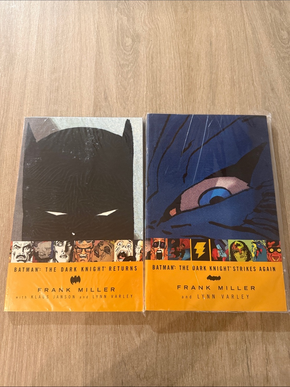 Batman Graphic Novel Cover Pair Featuring Black and Blue Artwork